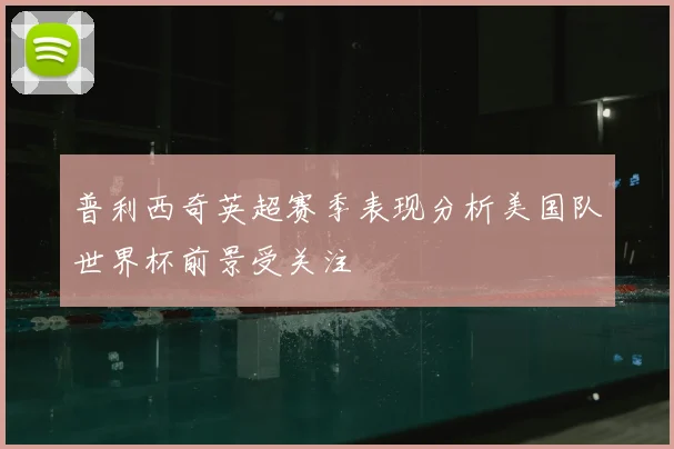 普利西奇英超赛季表现分析美国队世界杯前景受关注