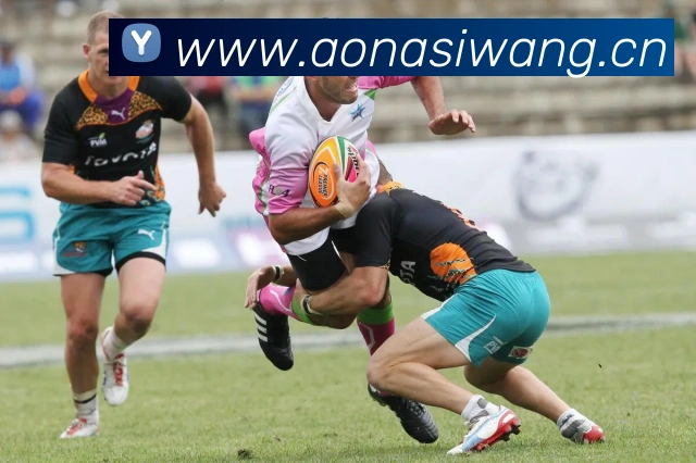 云开体育官网登录入口平台生态图